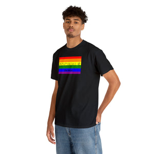 ØRIGINALS PRIDE FLAG TEE