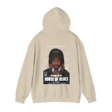 Load image into Gallery viewer, ØG FRØM ØGFTGFEST HOODIE