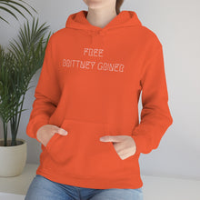 Load image into Gallery viewer, FREE BRITTNEY GRINER UNISEX HOODIE