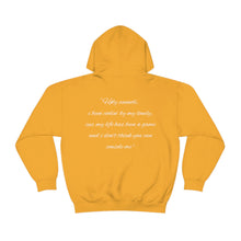 Load image into Gallery viewer, HØLY UNISEX HOODIE 2